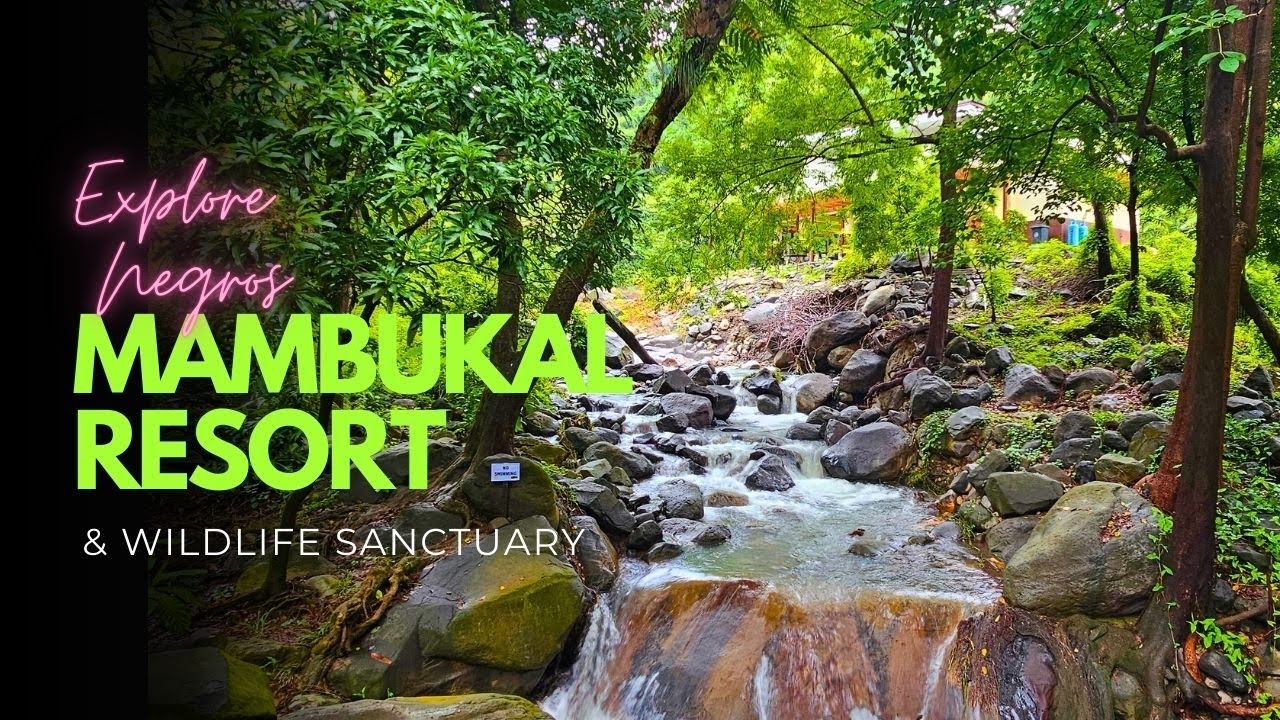 🌿 Hidden Paradise of Negros! Mambukal Resort & Wildlife Sanctuary Adventure 🌊🐒✨