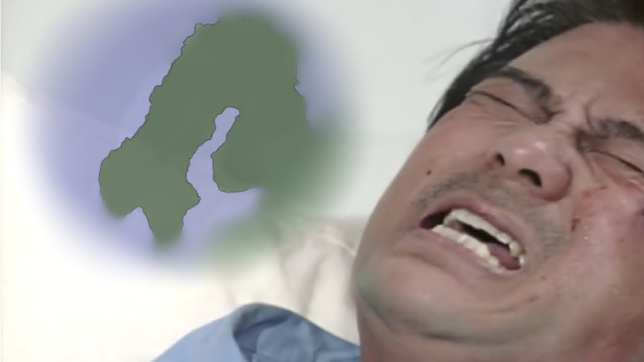 1500km의 것을 가진 심영