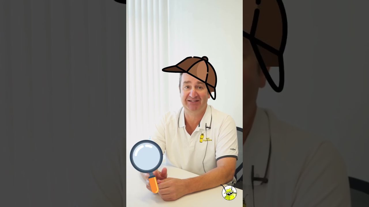 Pest Control Services Franchise in BC