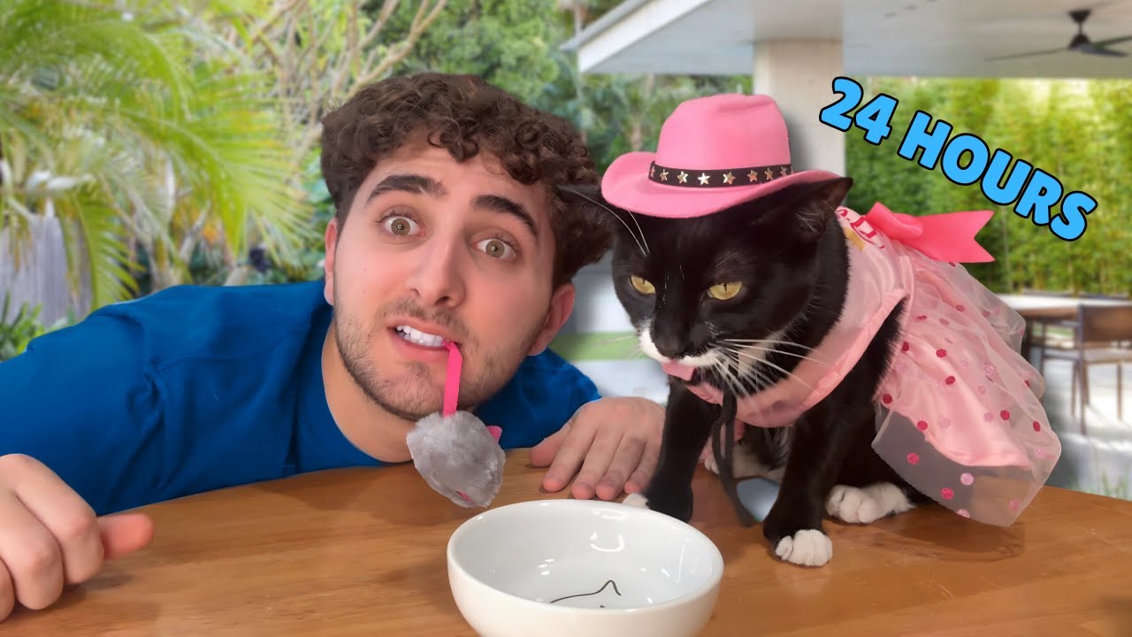 Я прожил 24 часа, как мой кот... СНОВА