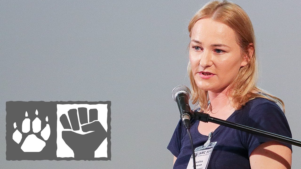 Why  Feminists Should fight for Animal Rights and Veganism - Karolina Skowron [IARC2018]