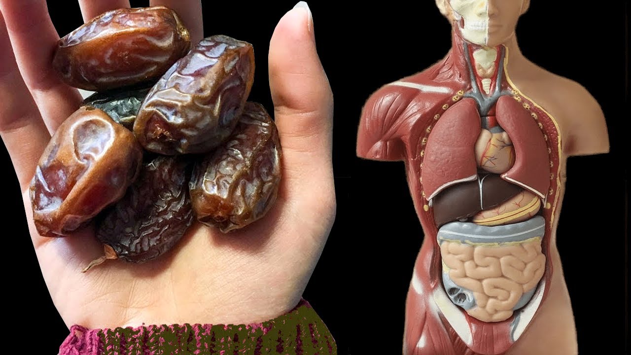 O que acontecerá se você começar a comer 2 tâmaras todos os dias durante uma semana