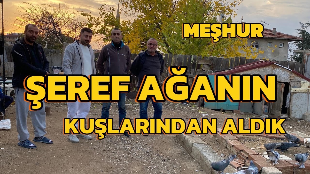 RAHMETLİ ŞEREF AĞA&rsquo;NIN KOMŞUSU MURAT ABİDEN ALDIĞIMIZ ŞEREF AĞANIN PERFORMANS KUŞLARI