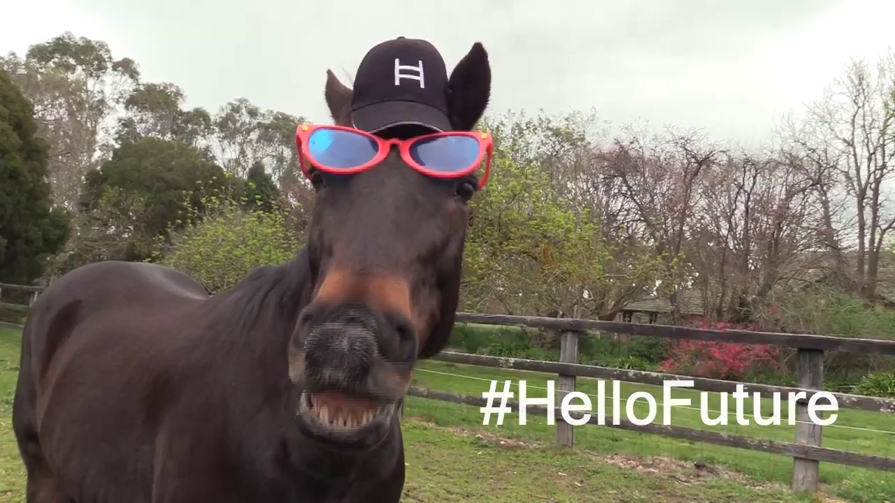 Hedera Hashgraph Open Access is finally here!😍 #HelloFuture💥🎉