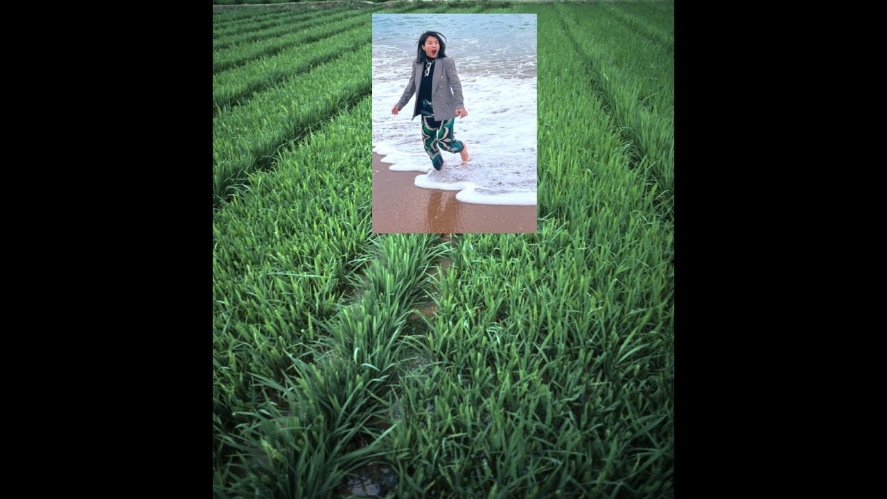 How to Yield Farming on The Fantom Ecosystem