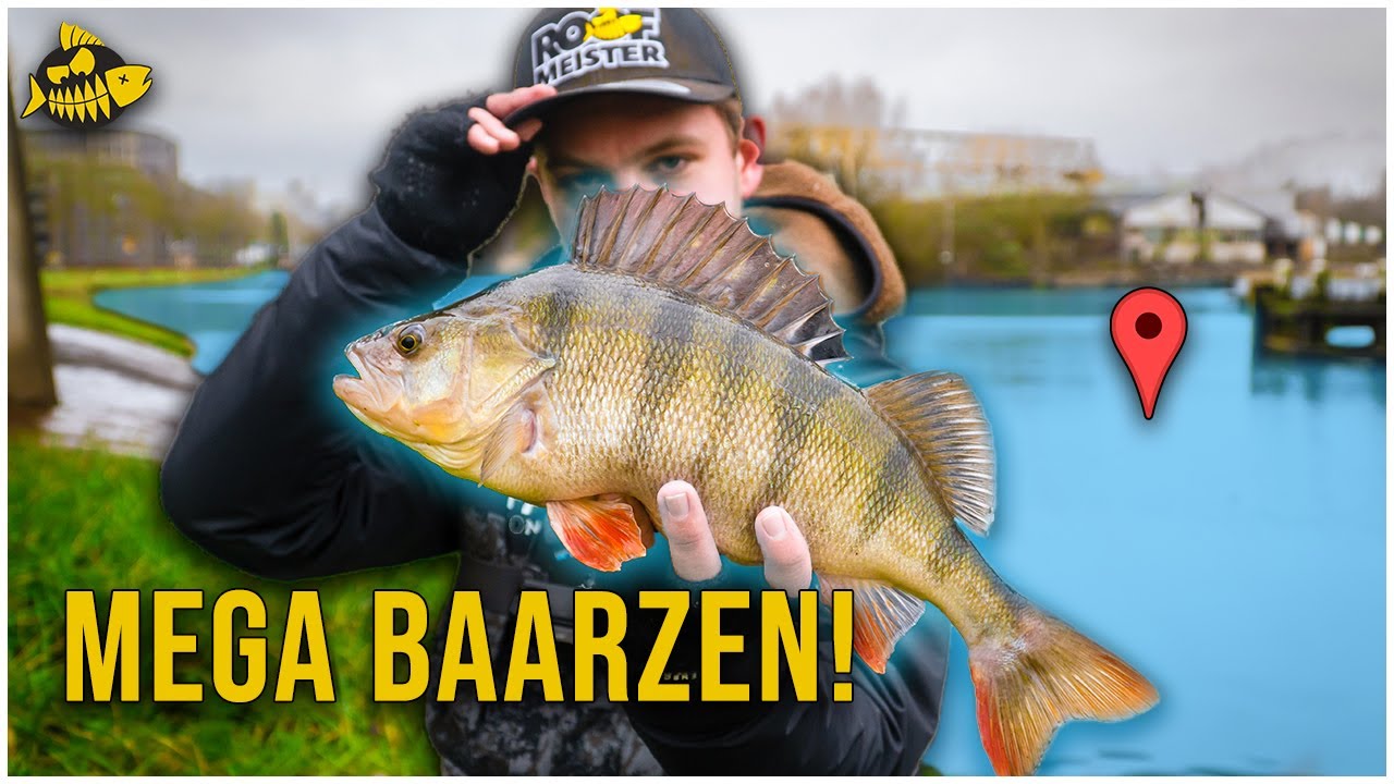 KANTVISSEN OP GROTE BAARS! – Met de ned rig vang jij meer vis