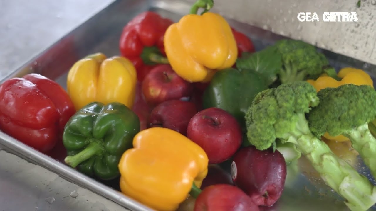 Buah dan Sayuran Bersih dari Pestisida | GETRA QX-22 Air Bubble Vegetable Washer