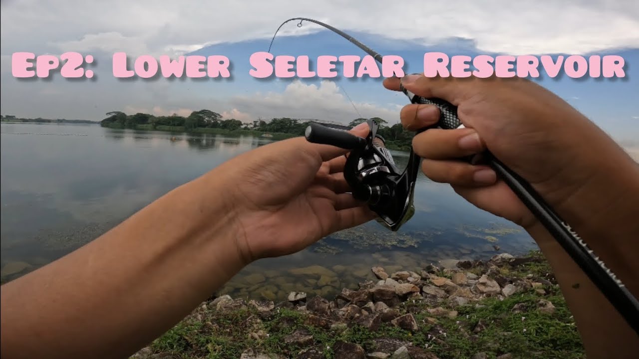 Freshwater got fish or not? Ep.2 Lower Seletar Resevior. 