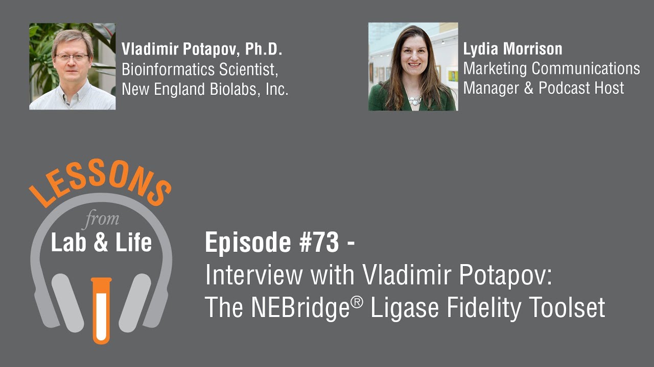 Episode #73 - Interview with Vladimir Potapov: The NEBridge Ligase Fidelity Toolset