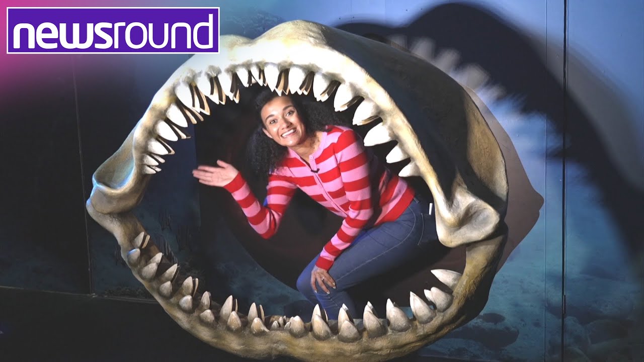 Sea Life Blackpool 🦀 Meet Ellie the Rockpool Ranger | Newsround