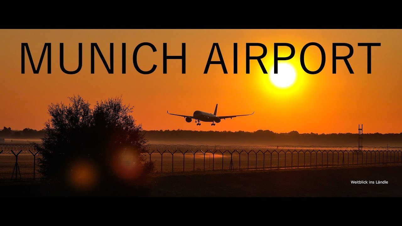 4K | Early Birds at Munich Airport Planespotting A350, B747, A340, B777, A330 and more