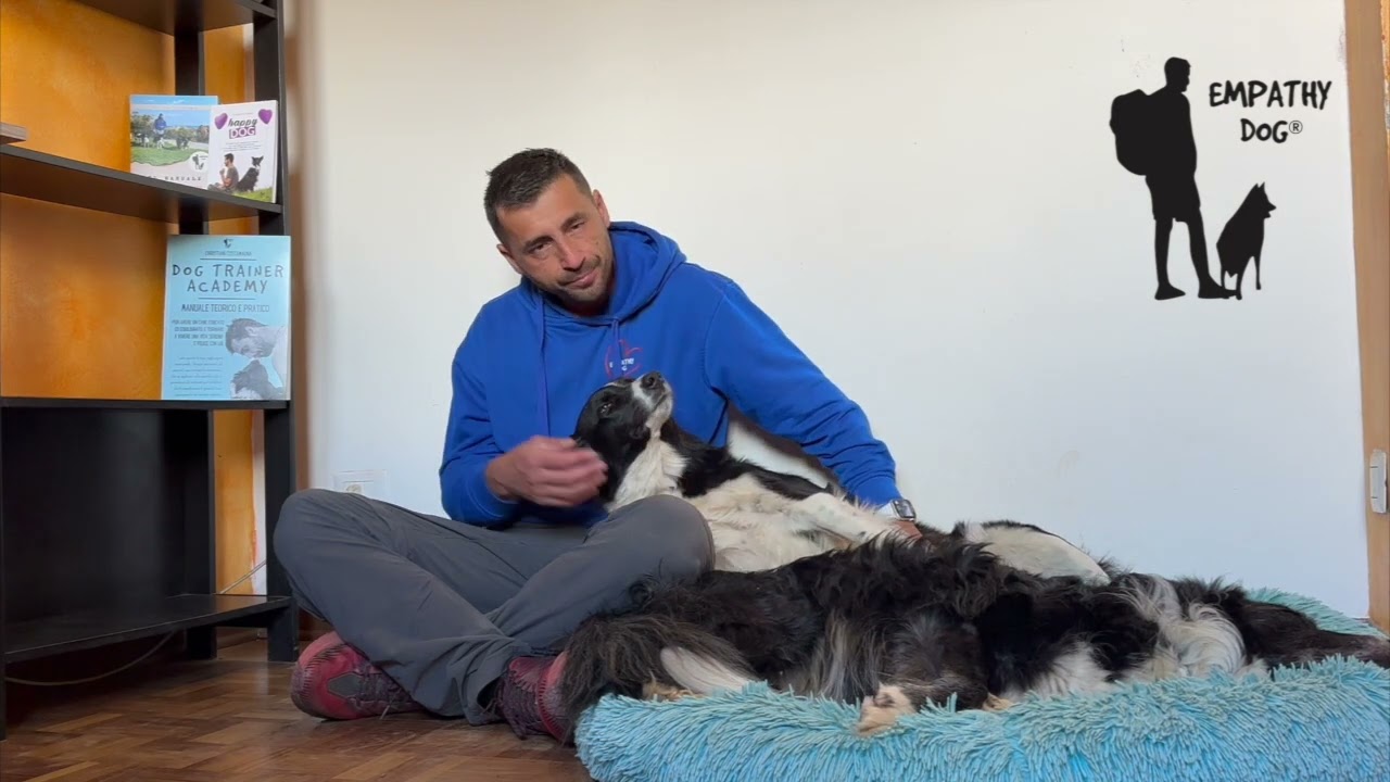 Il tuo cane sa leggerti alla perfezione.