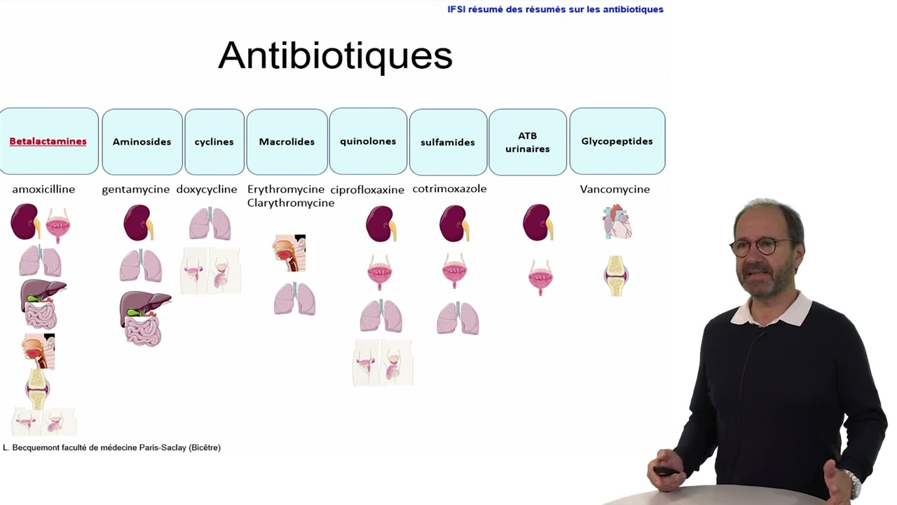 IFSI les Antibiotiques le Résumé des résumés