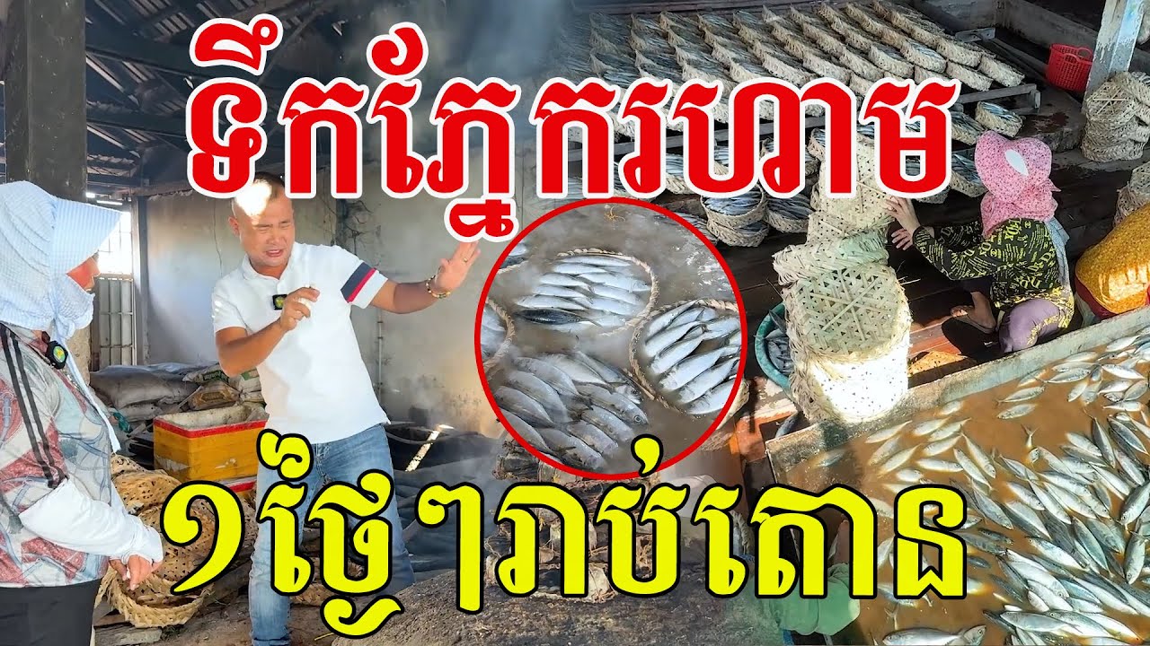 ម្ចាស់ថ្លៃ ១ថ្ងៃរាប់តោន គេធ្វើចឹងសោះ ថ្មីៗស្រស់ៗ