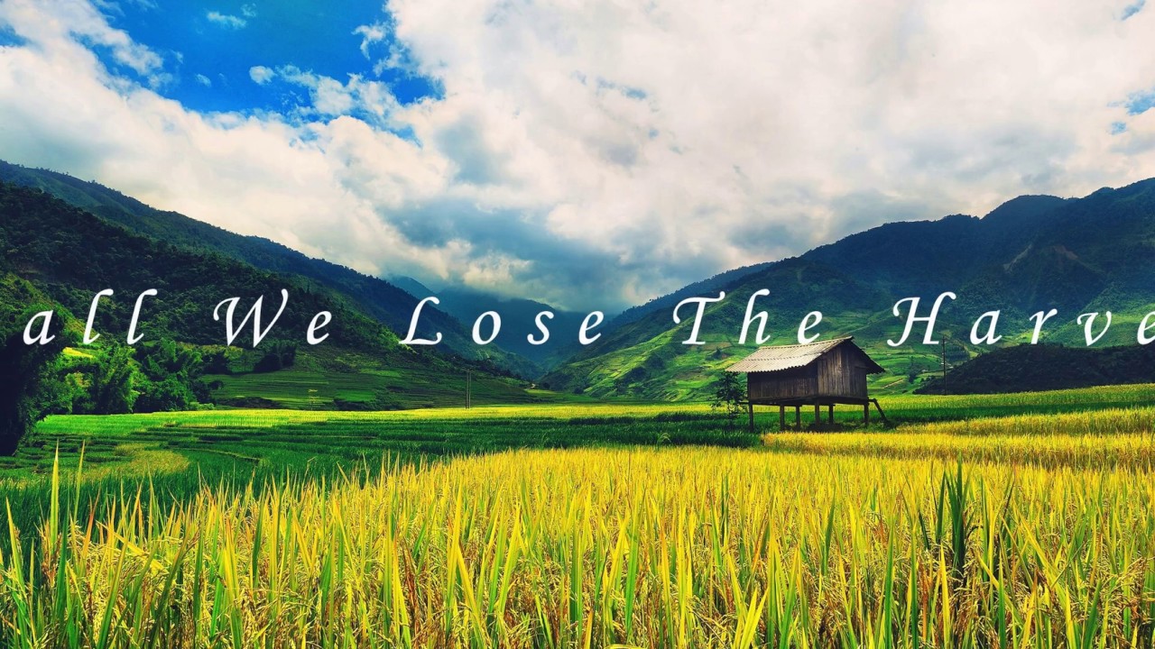 Shall We Lost the Harvest