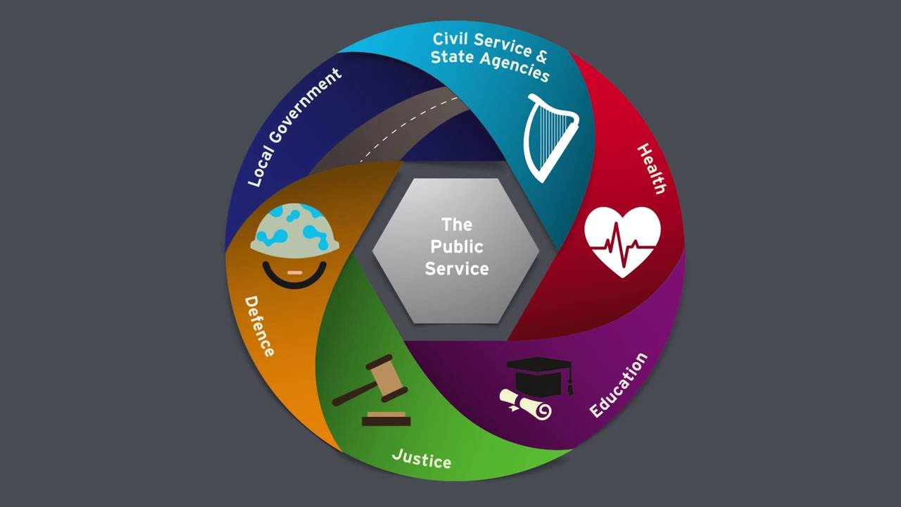 DPER Public Service Reform Progress Report