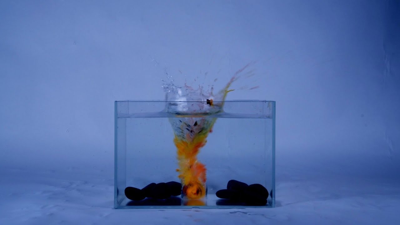 Experimental Art Video-Time, Memory, Oblivion