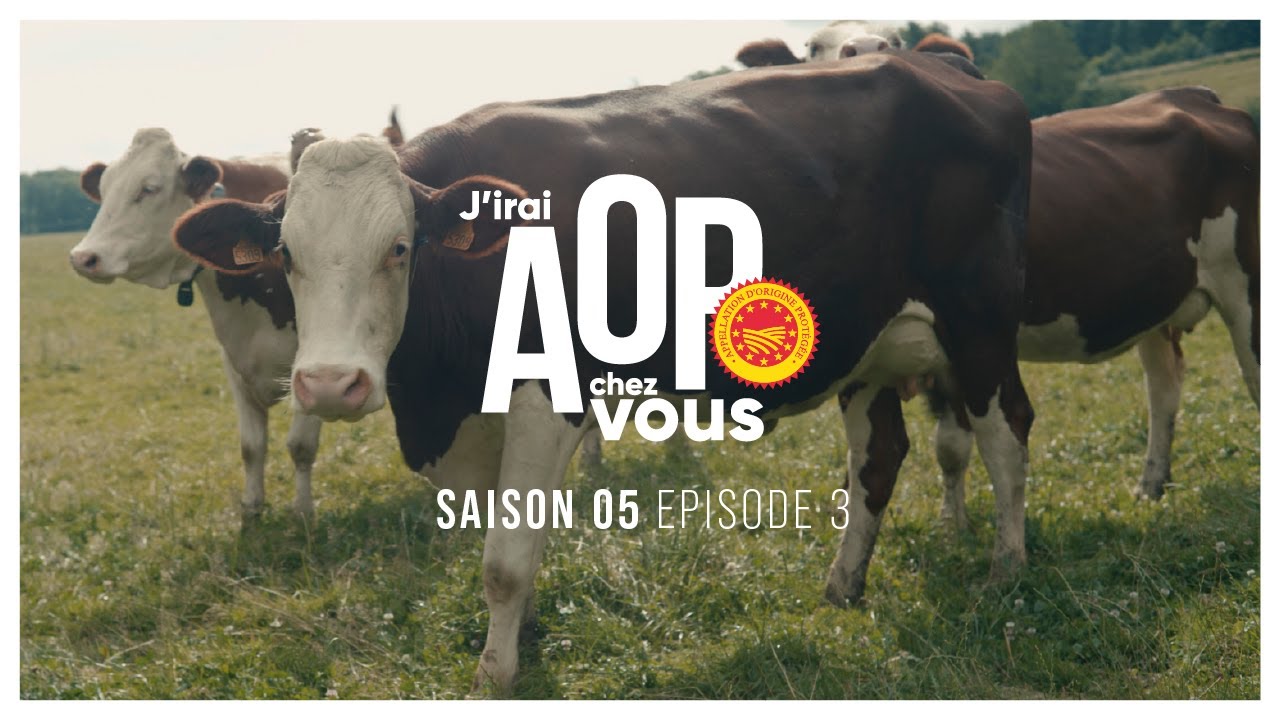 J'irai AOP chez vous - Episode 3 / Saison 5 - Morbier x Fourme de Montbrison