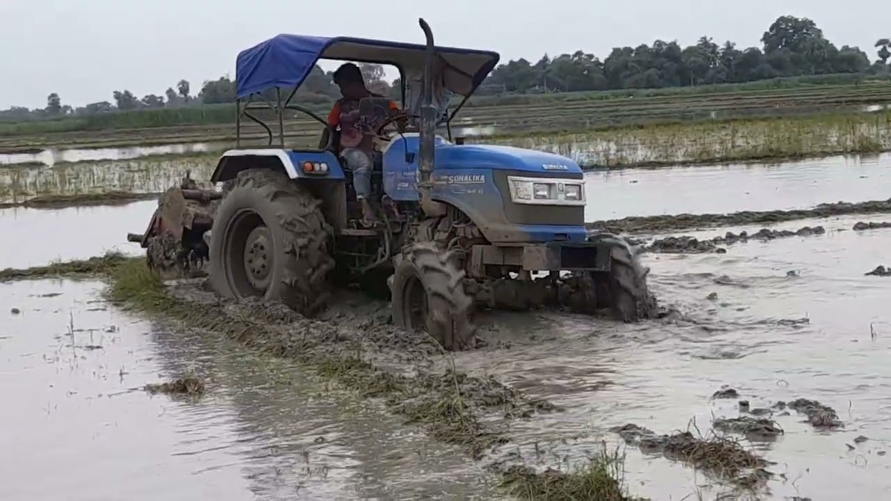 দোক জমিতে কি ভাবে চলছে দেখুন #sonalika 47rx 4wd #tractorvideo #viralvideo #status #short #reels👍👌💪🚜 