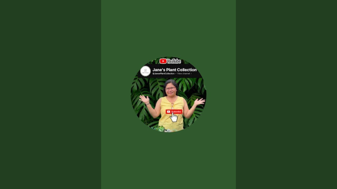 Jane's Mix Blog is live!HI GUY'S MAGANDANG GABI PO . WELCOME BACK MY CHANNEL ❤️❤️❤️