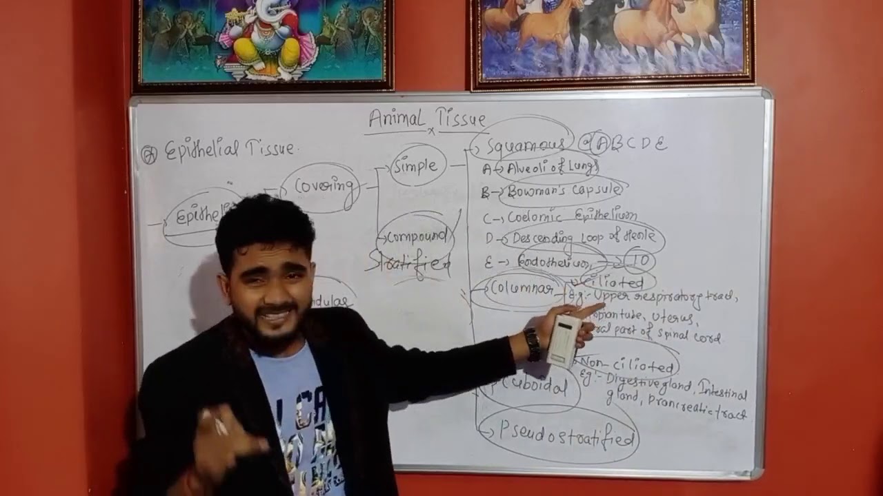 Study of Animal Tissue | Zoology | By Suraj Worldwide Education Foundation