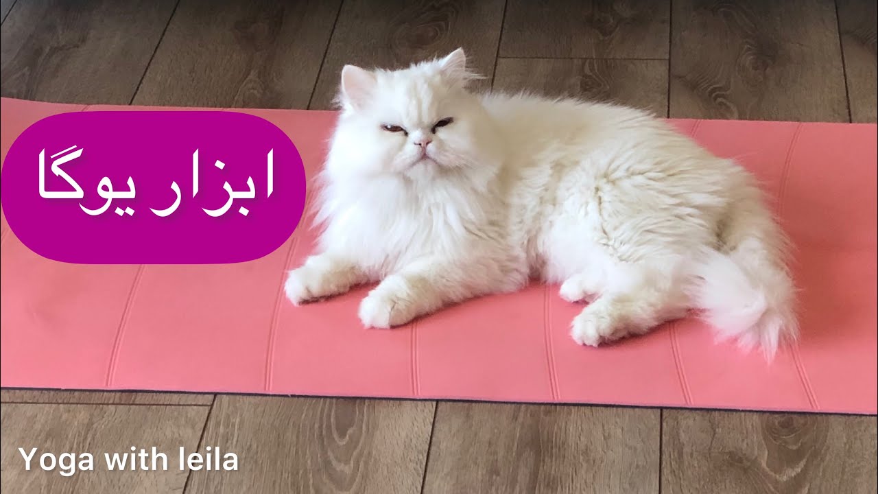 فوت و فن یوگا