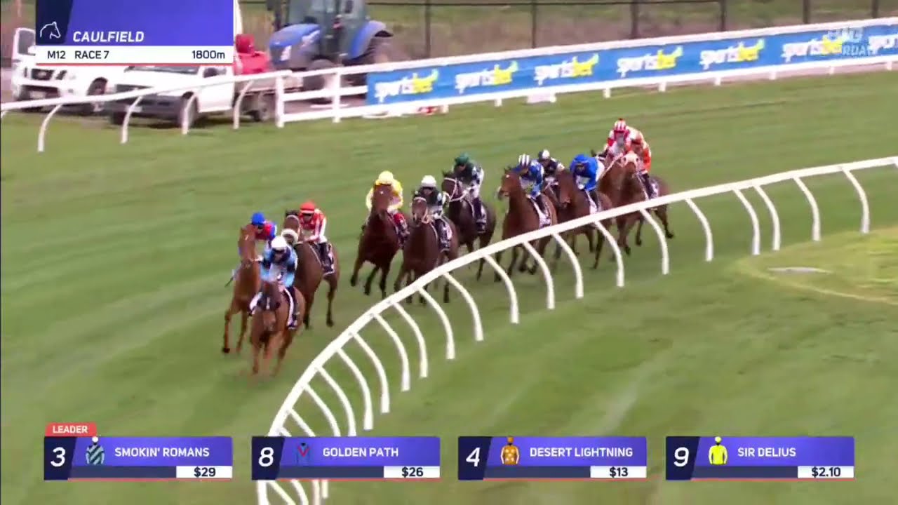 SIR DELIUS - Underwood Stakes 2025 (3 года+ WFA G1) Группа 1 Колфилд 20 сентября