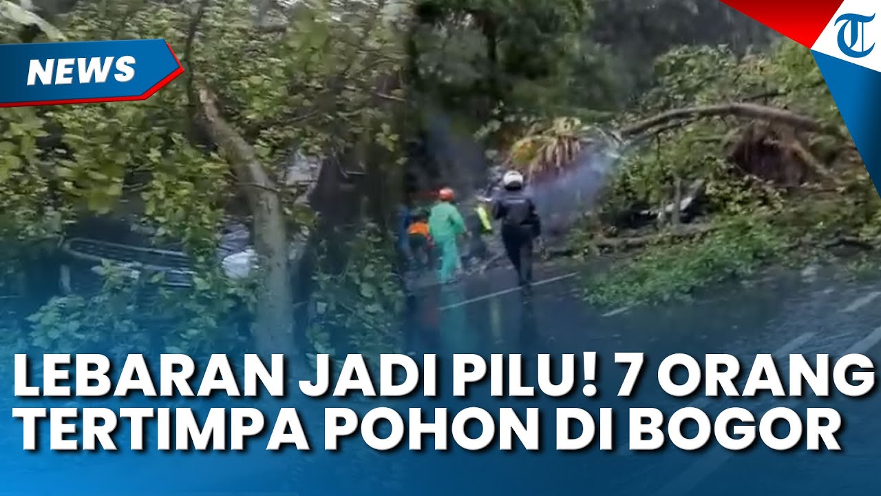 MENCEKAM! Momen Lebaran Jadi Pilu, Detik detik 7 Orang Tertima Pohon di Kota Bogor