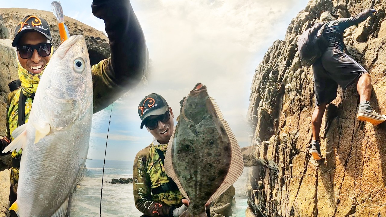 Encontramos un nuevo pozo: CORVINA y LENGUADOS con un SEÑUELO