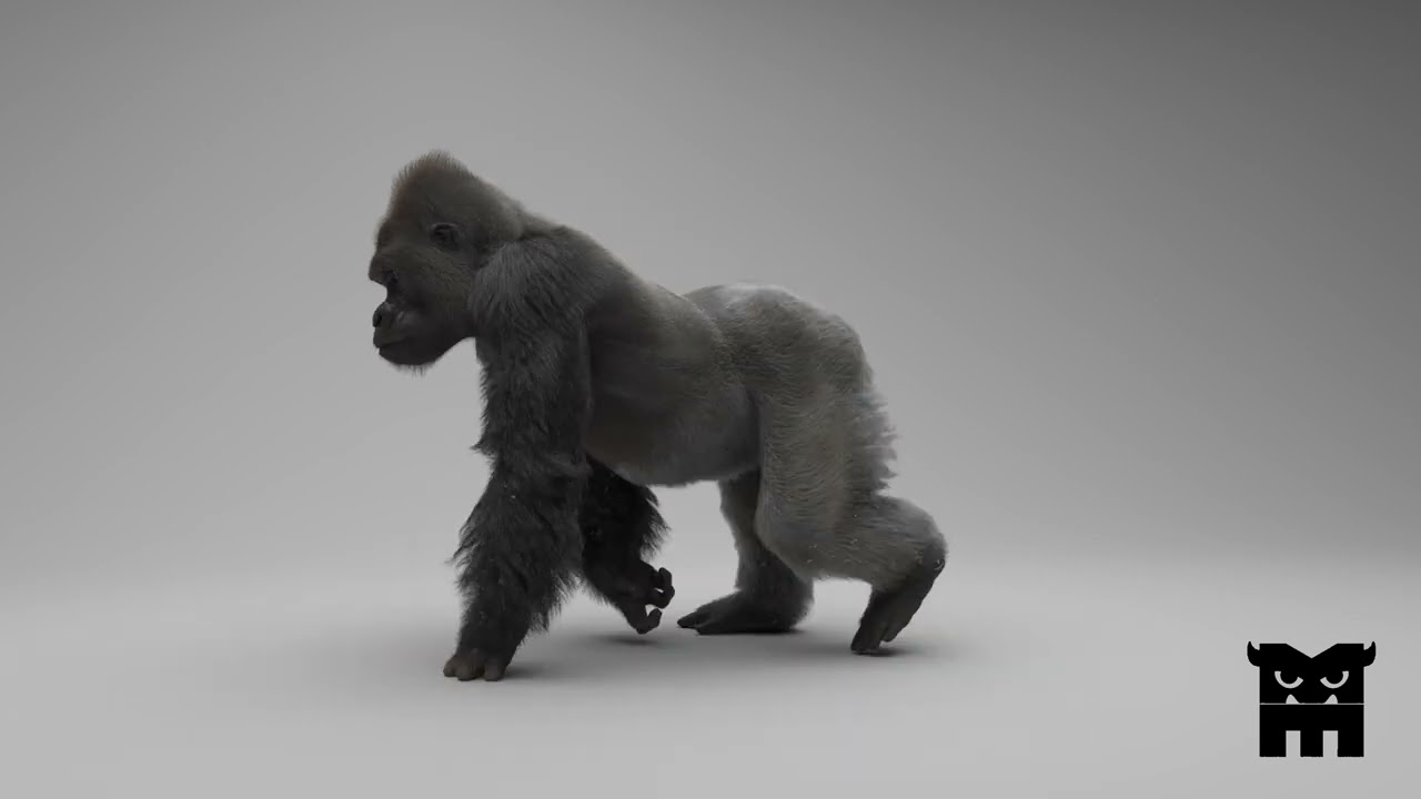 Gorilla walkCycle