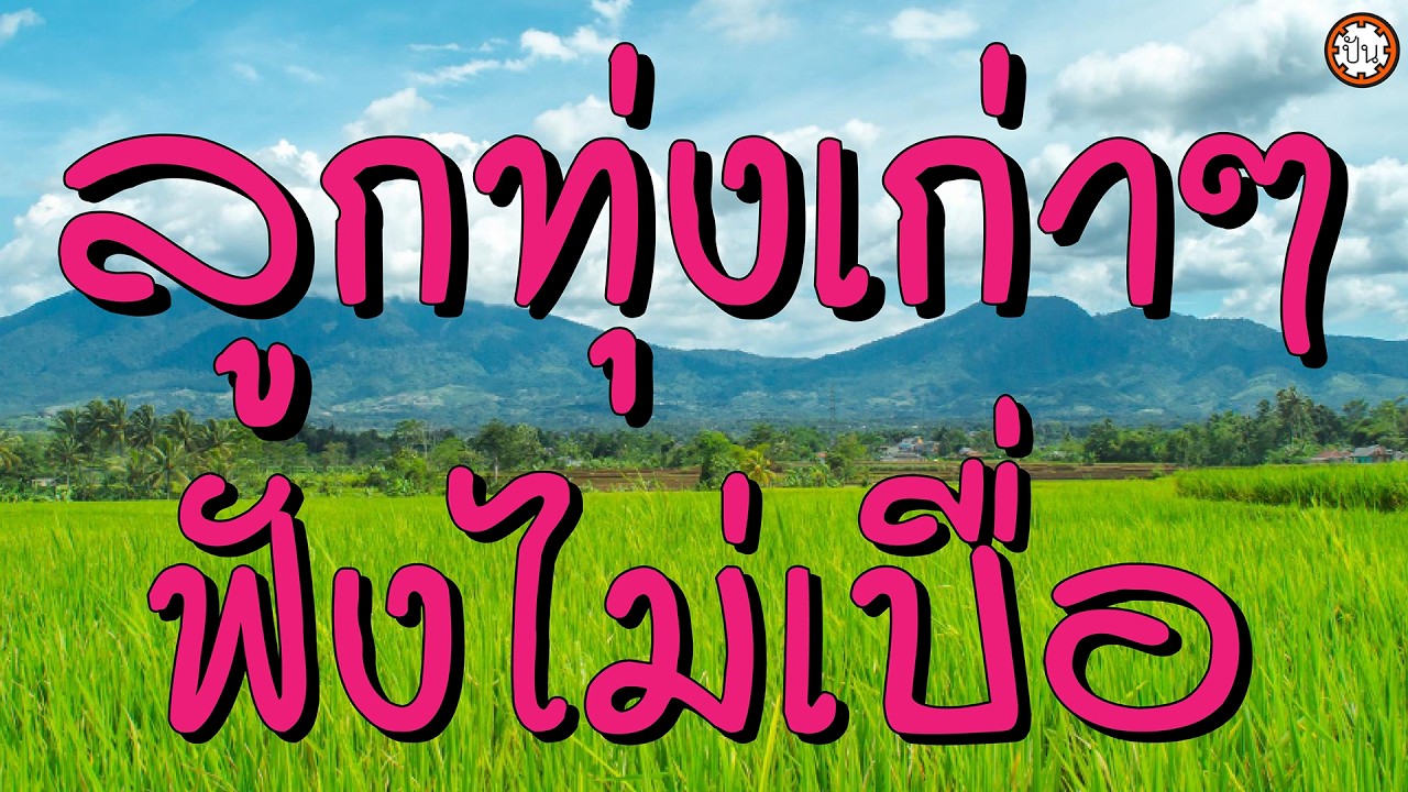 รวมเพลงลูกทุ่งเก่าๆ #สาริกาไร้รัง #แพ้รักเศรษฐี #ไอ้หนุ่มเครื่องไฟ