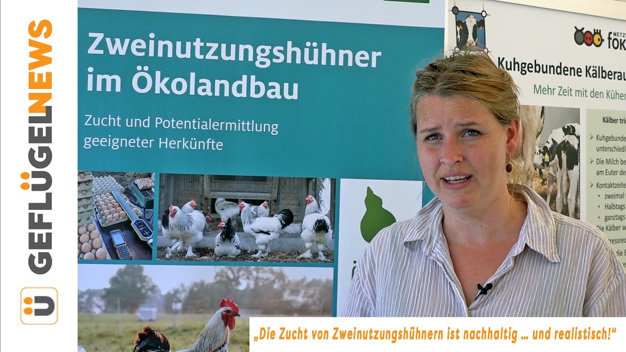 „Die Zucht von Zweinutzungshühnern ist nachhaltig … und realistisch!“