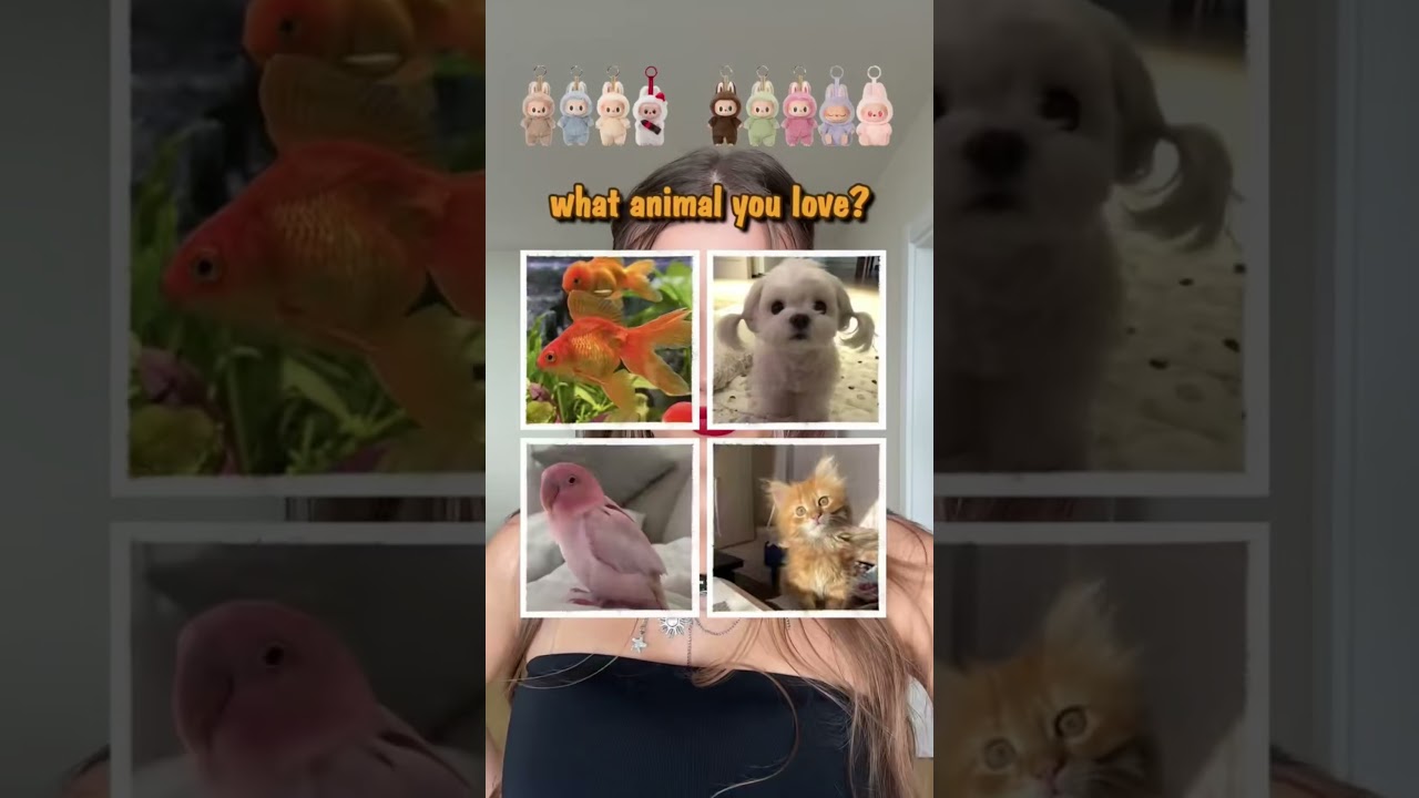 Теперь я знаю Какой я labubu 😂
