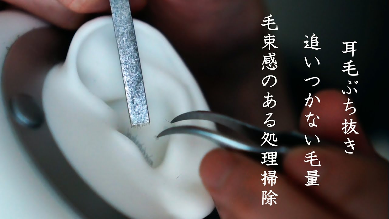 【ASMR無言】耳毛剃り・耳鏡で回収・ぶち抜いても追いつかない多毛。逆毛が刃の隙間に絡まる毛束感。湿って柔らかくなった皮膚肉から耳毛をこそぎ取る感触の処理掃除 Ear hair removal