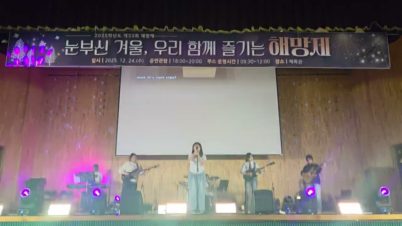 데일밴드(낭만고양이)