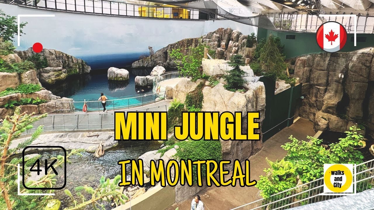 A Magical Walk Through Rainforests, Ice & Wildlife Montreal Buidome 4K 🌿