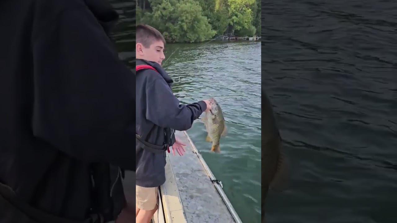 Massive smallmouth #fishing #freshwaterfish #fish