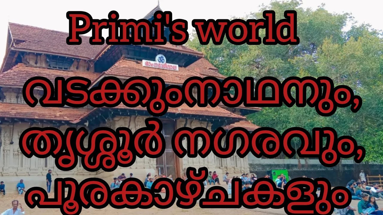 Flashmob/Thrissur/ Thrissurpooram.   #flashmob #pooram2023 #thrissurpooram #pooramvibes #pooramvibe