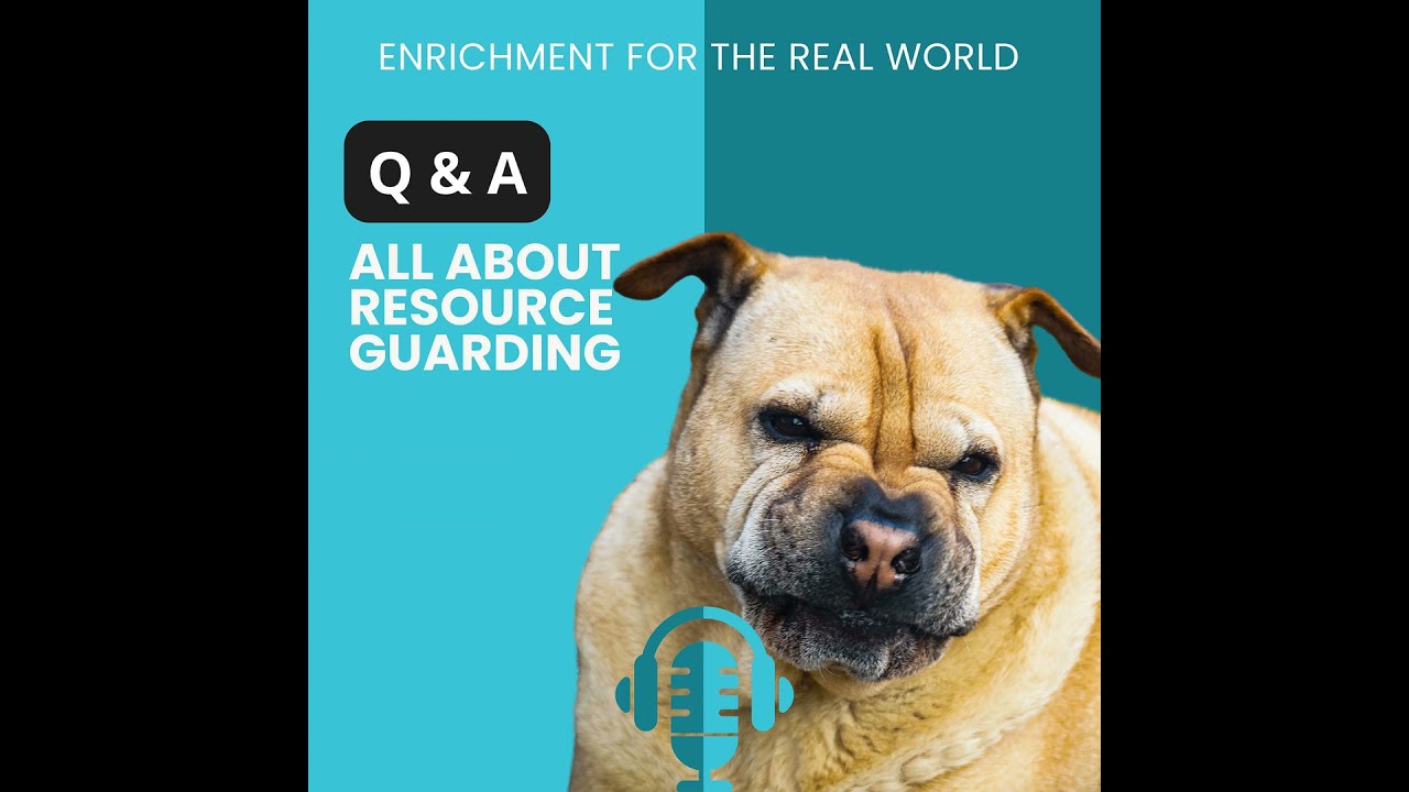 #156 - Q&A: All About Resource Guarding