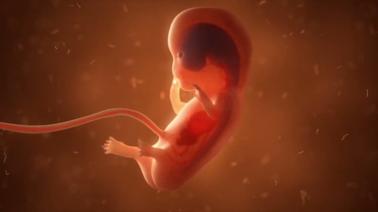 FUTUROS - Abadon [23studios]