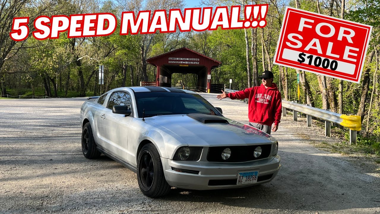 I JUST BOUGHT THE CHEAPEST MUSTANG EVER AND IT'S IN MINT CONDITION!