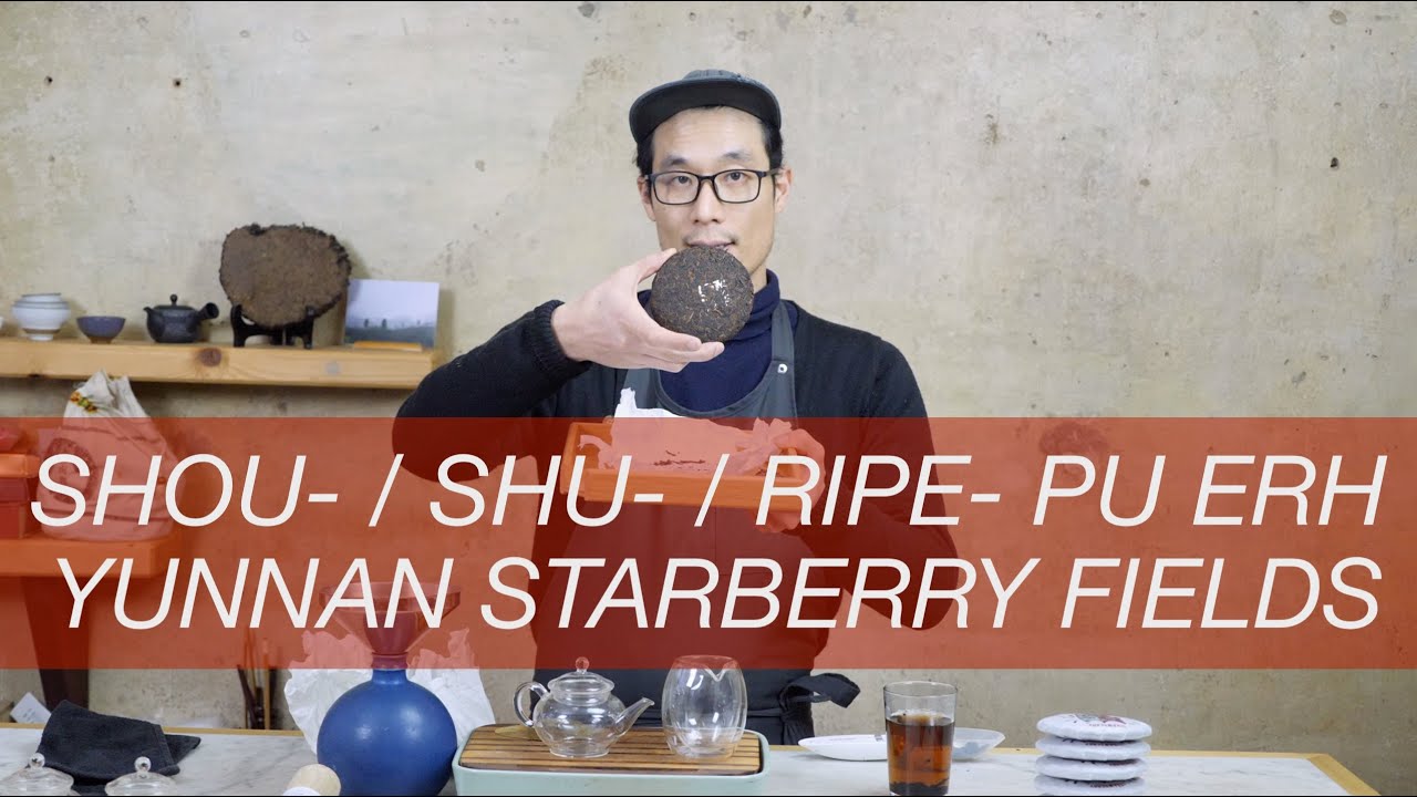 Tea Addicts 2021 - Ripe Pu'er Strawberry Fields Yunnan China Si Mao Pu'er Dark Tea Shou Pu