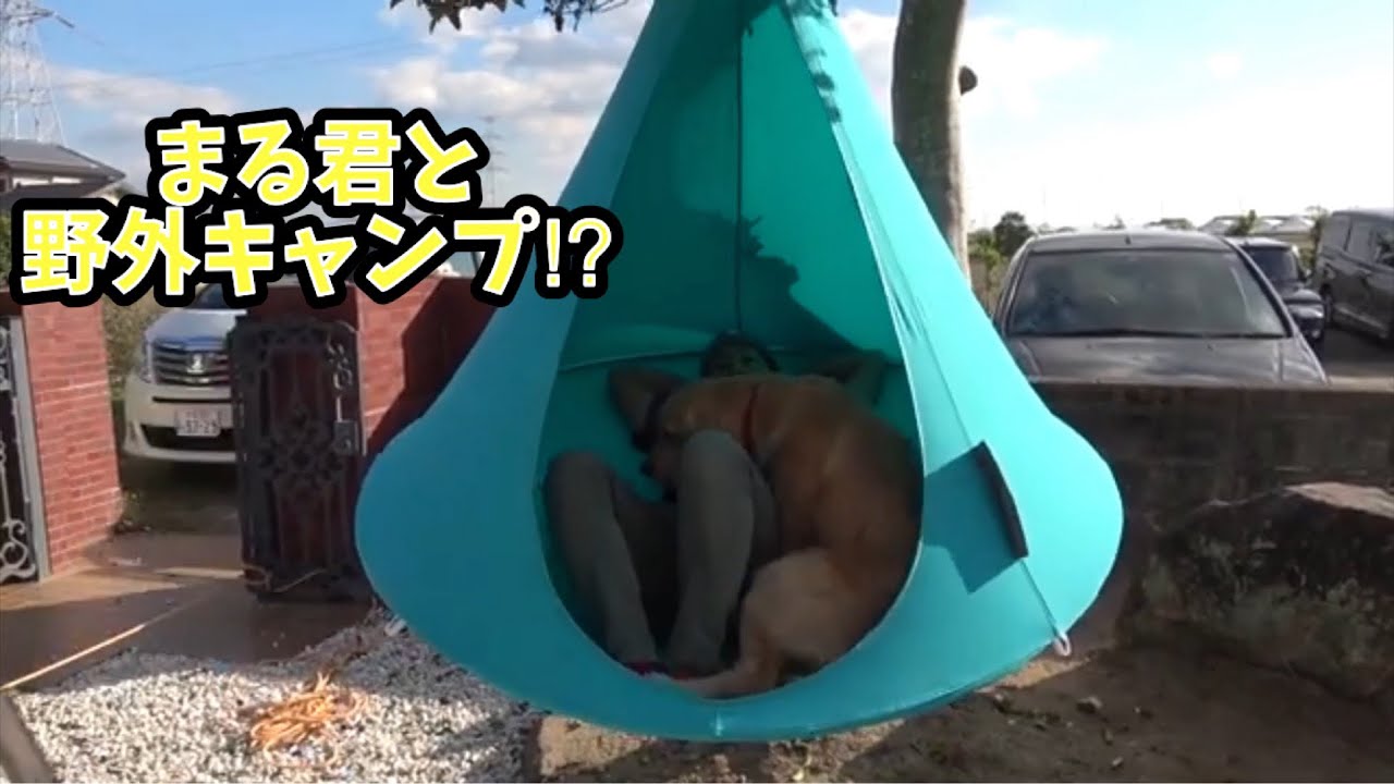 まる君と野外キャンプ⁉︎