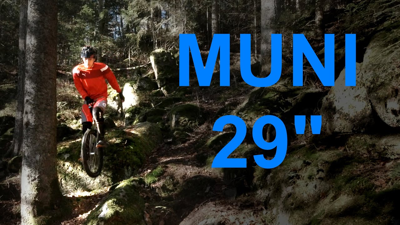 Igelloch Muni 2020