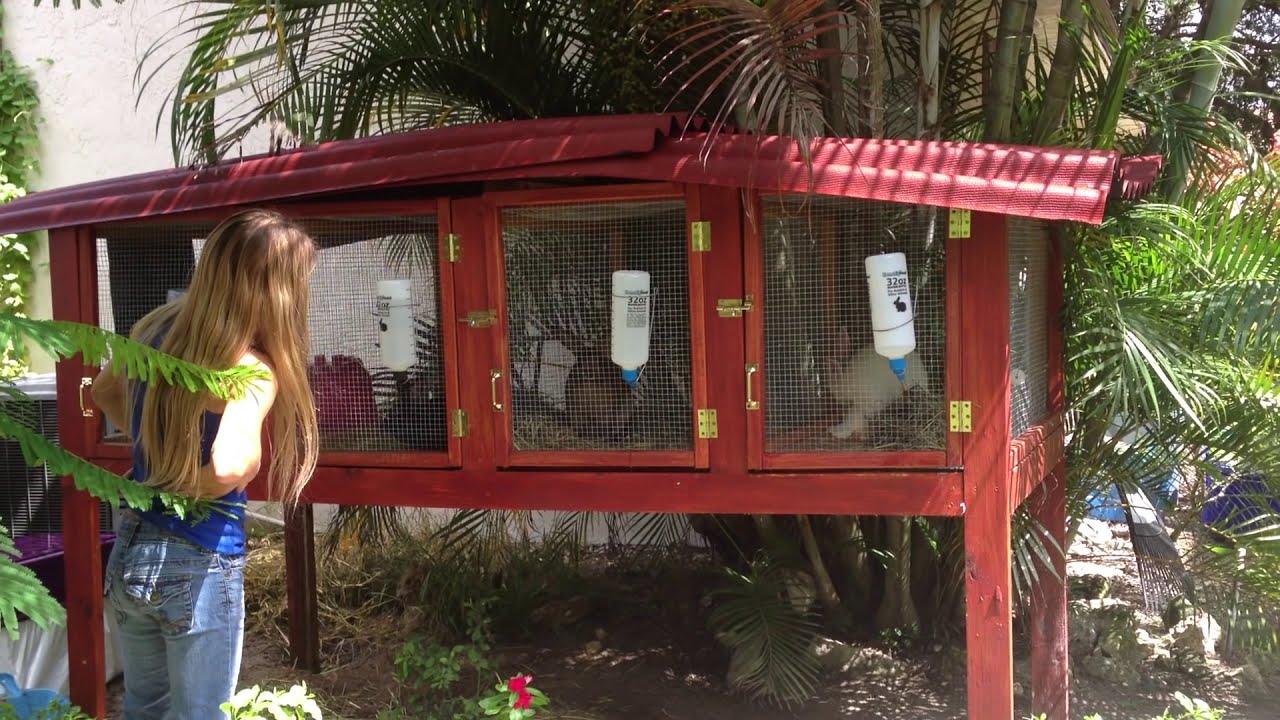 HOW TO BUILD A RABBIT HUTCH - Part 3