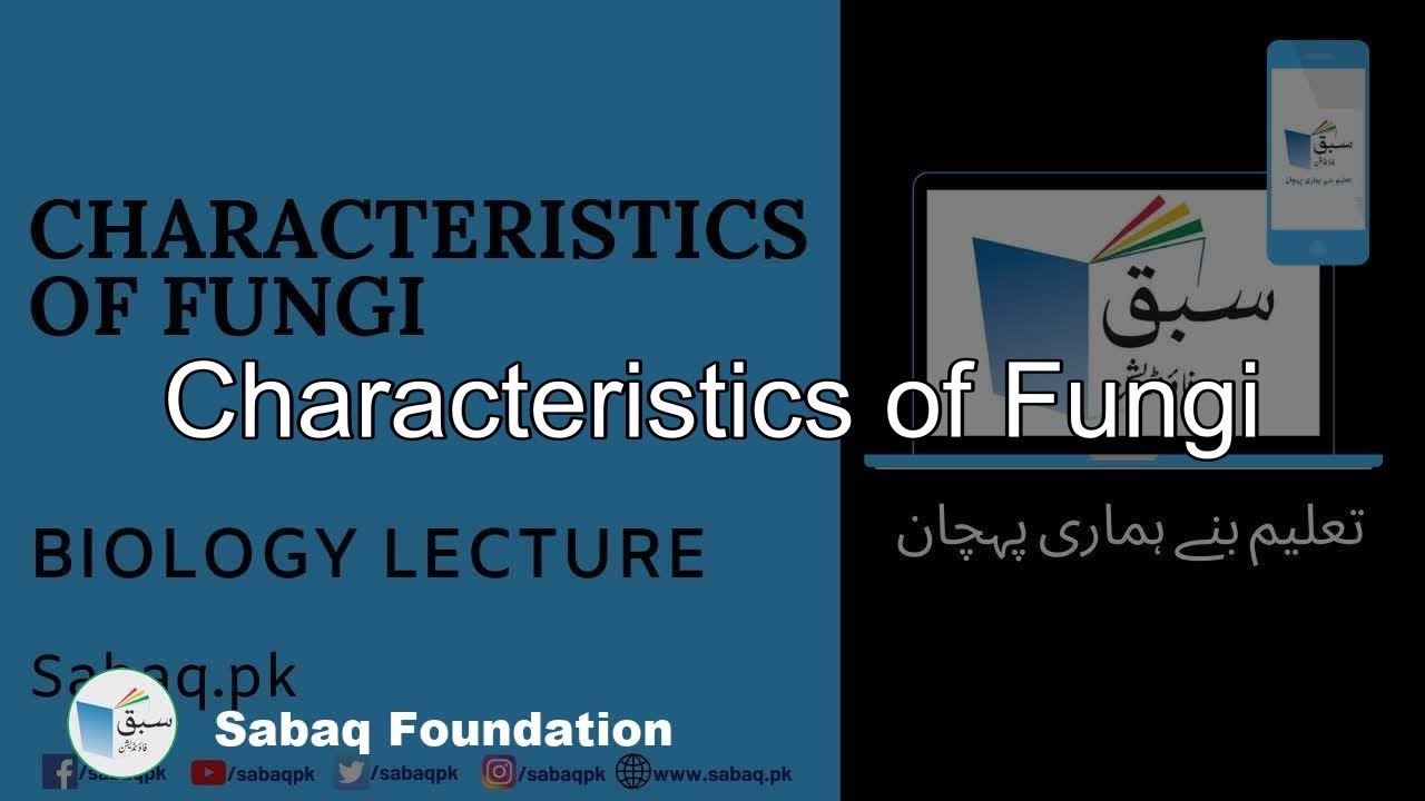 Characteristics of Fungi, Biology Lecture | Sabaq.pk