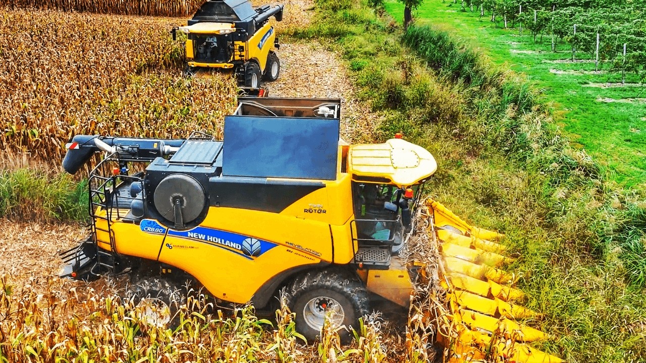 УРОЖАЙ КУКУРУЗЫ 2024 2X NEW HOLLAND CR