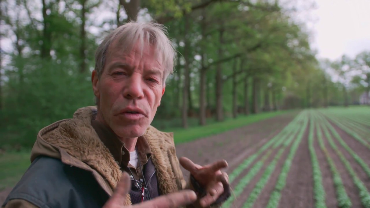 Odin ontwikkelt nieuwe biodynamische groenterassen op eigen boerderij