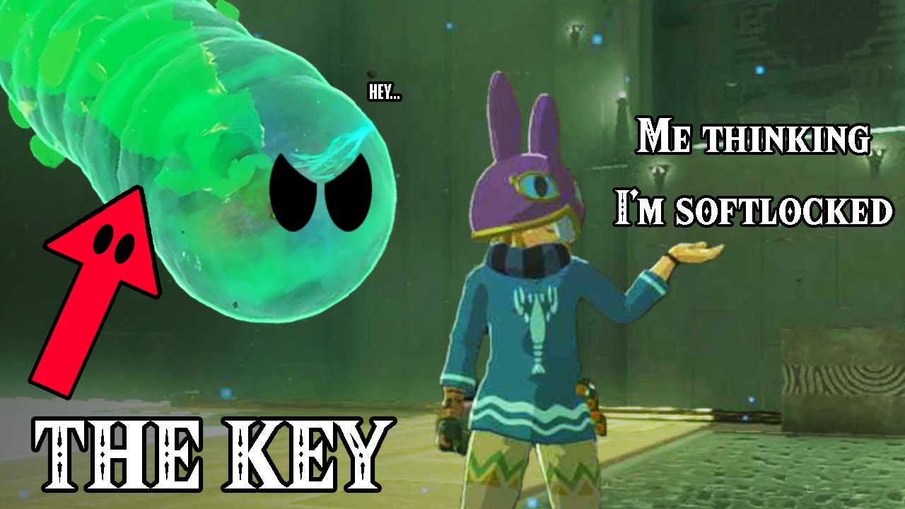 WHY WON'T YOU JUST LET ME SOFTLOCK THIS?! - Tears of the Kingdom