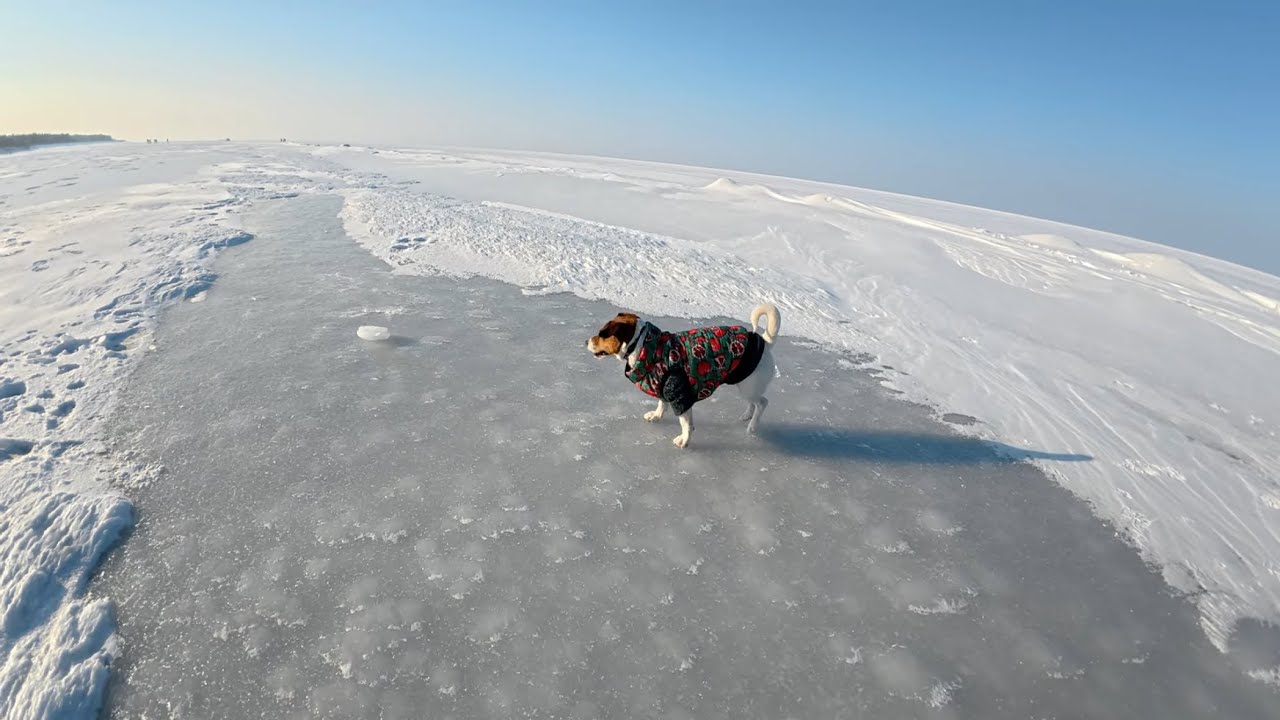 Winter Kyiv Sea